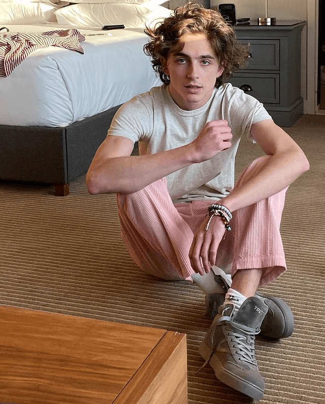 Timothée Chalamet to play young Willy Wonka in new film