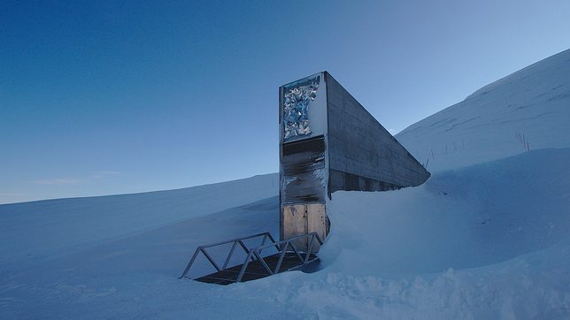 Arctic doomsday vault gets record batch of crop seeds