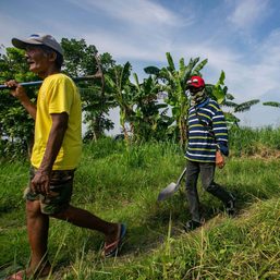 ‘Win-win’ solution halves MAKISAMA-Tinang’s share of agrarian reform land