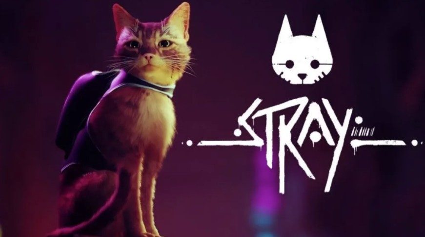 Review: 'Stray' video game argues that sci-fi dystopia is better with cats  - Los Angeles Times