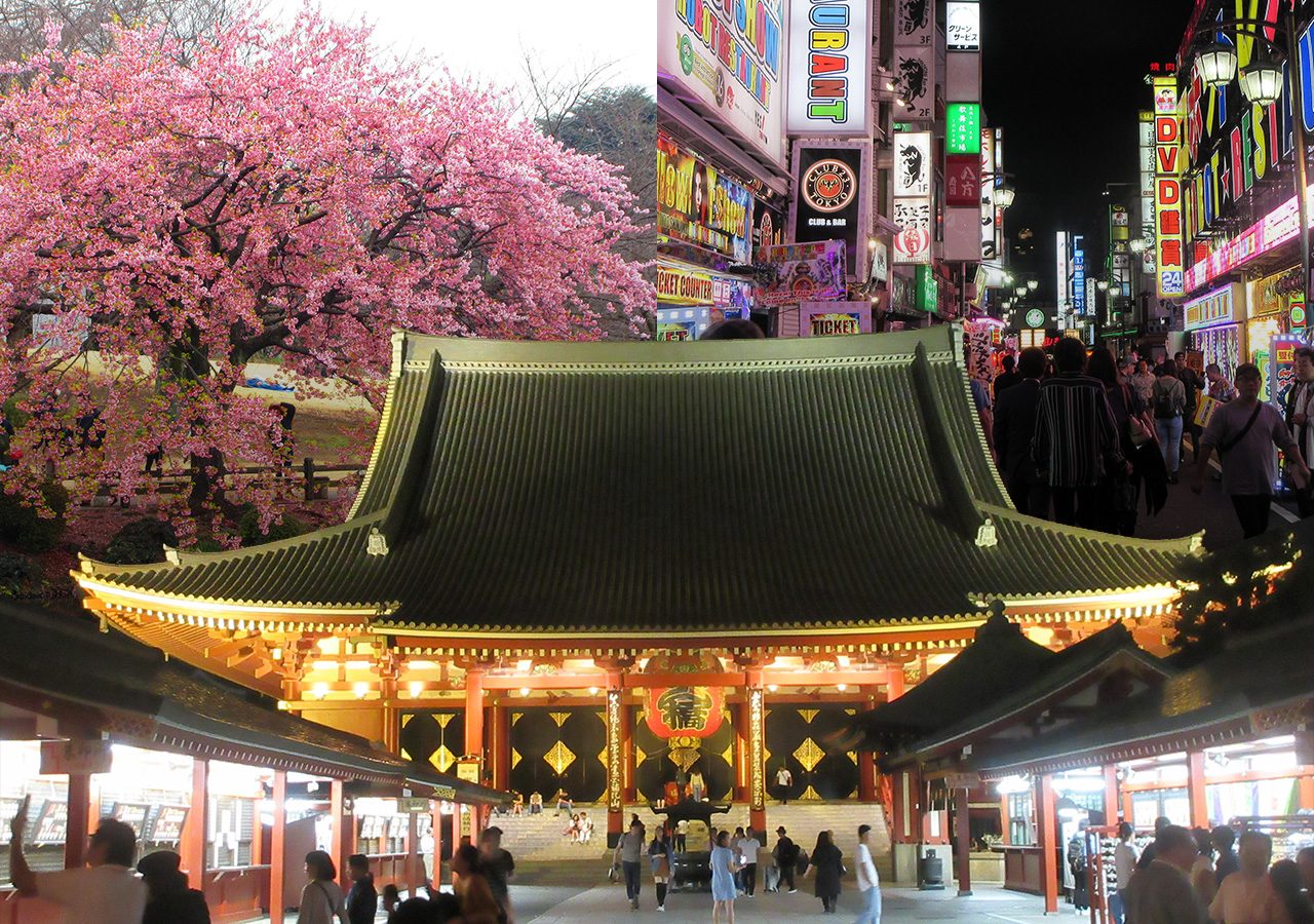 48 Hours in Tokyo - A neon city of old, new, culture and entertainment -  Japan Rail Pass Now USA