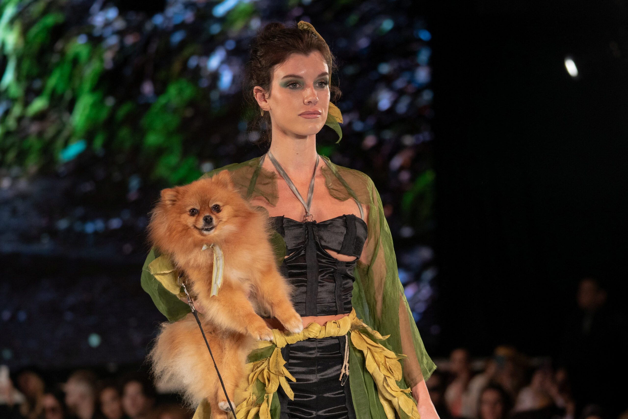 The Looks Of The Coppell Art Center's Dog Fashion Show.