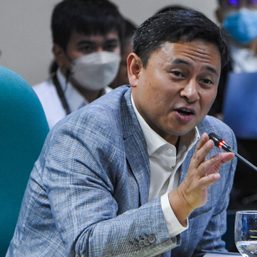 ‘Much-improved choice’: Groups, lawmakers hail Angara’s appointment as DepEd chief