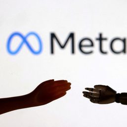 Meta gets 11 EU complaints over use of personal data to train AI models