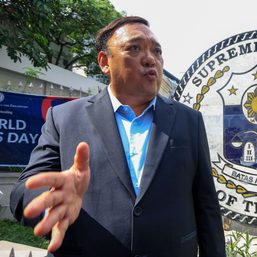 ‘No idea why’: Porac POGO lists Harry Roque as legal representative