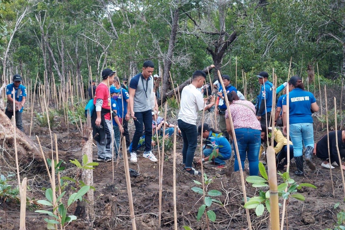 Puerto Princesa establishes arboretum to protect nature, support wildlife