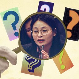 [Rappler Investigates] What’s it all about, Alice?