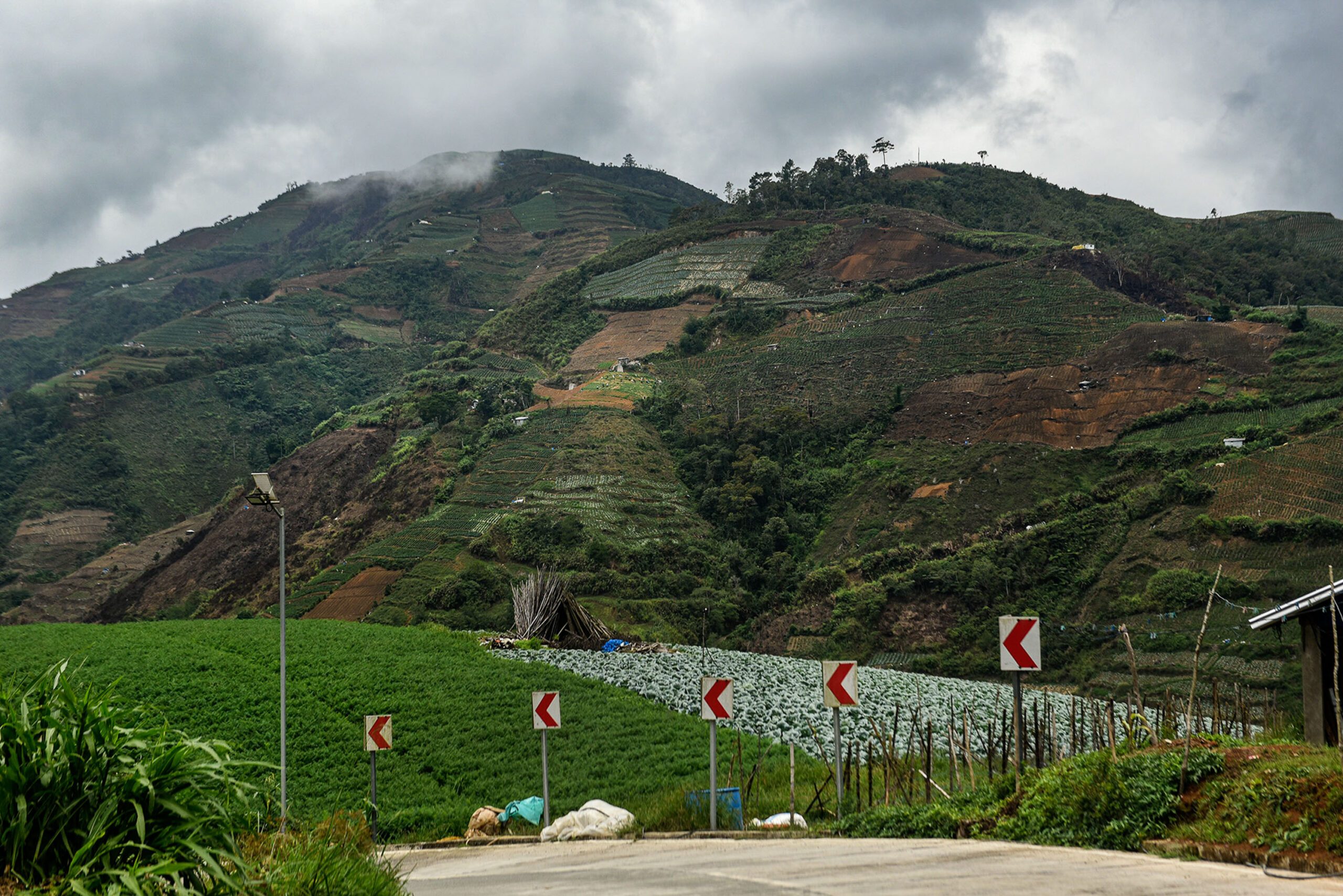 IN PHOTOS: The road to the vegetable gardens of Tinoc, Ifugao