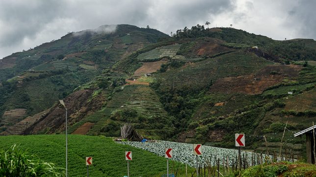 IN PHOTOS: The road to the vegetable gardens of Tinoc, Ifugao