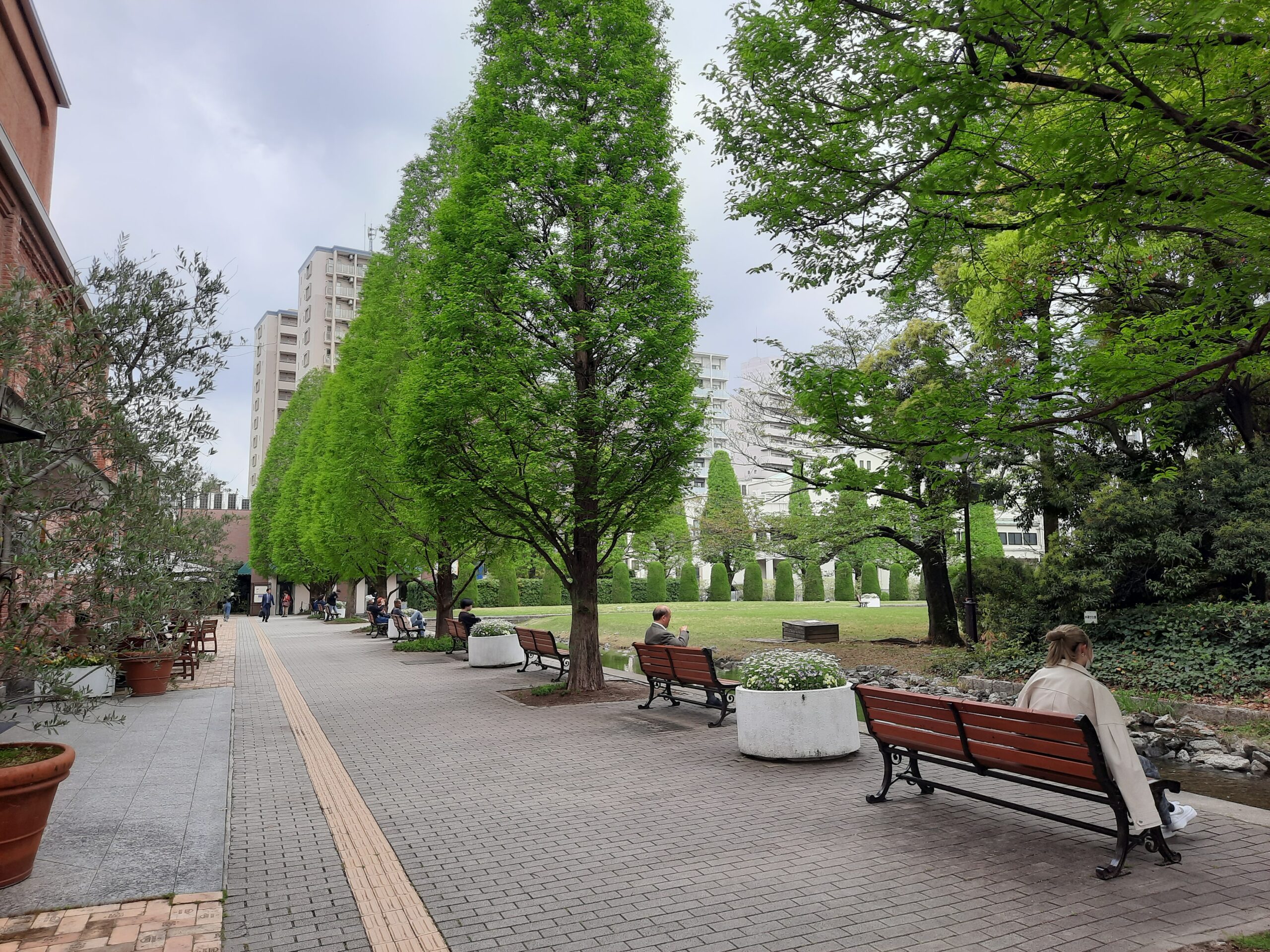 garden, trees, benches, buildings, flowers, persons, plants