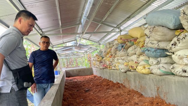 Organic farming brightens future of elderly agrarian reform beneficiaries in Davao de Oro