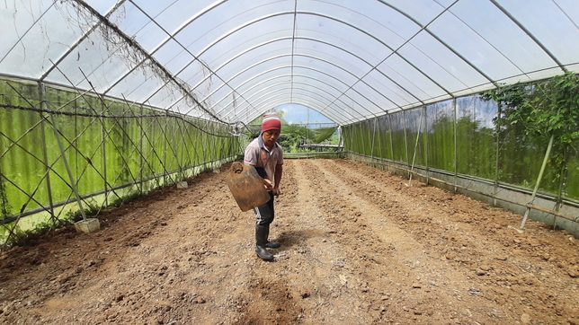 Healthier harvests: Organic farming initiative flourishes in Benguet