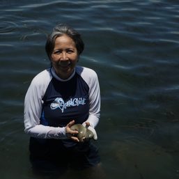 Filipino scientists lead cultivation of sea cucumbers in coastal areas