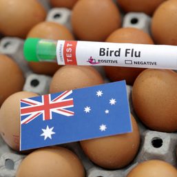 WHO says bird flu case in Australia followed travel to Kolkata, India