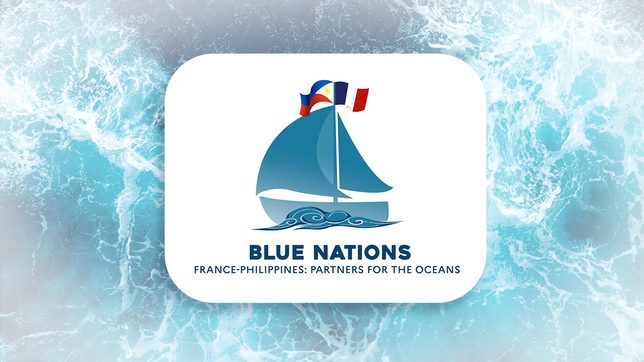 French embassy giving grants to youth organizations for oceans conservation 