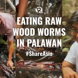 WATCH: Eating raw woodworms in Palawan