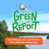 The Green Report: San Enrique, the community that cares for mangroves