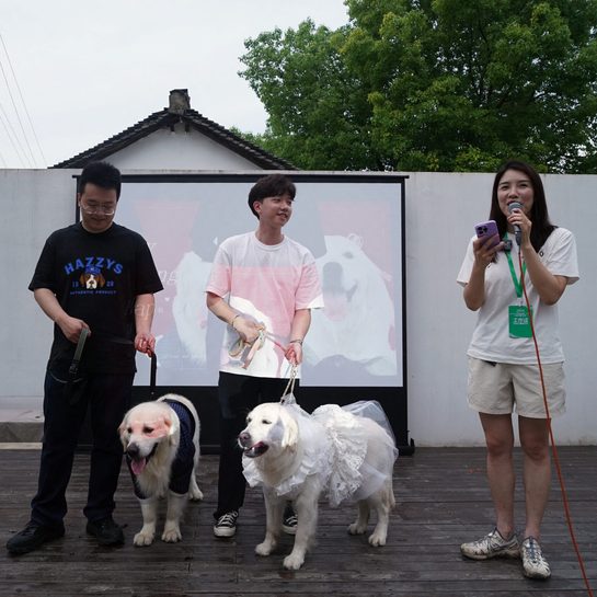 Puppy love: Canine weddings on the rise in China