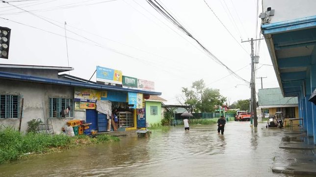 Pampanga now under state of calamity; agricultural losses reach P308 million