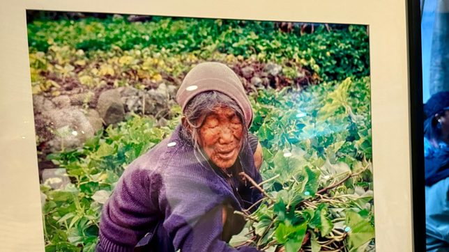 ‘Itauli’: New book, exhibit reframe narratives of Cordillera women