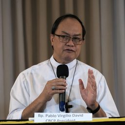 Report bishops who get donations from mining companies, says CBCP