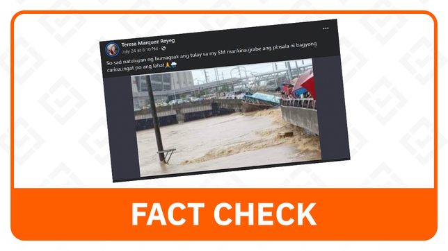 FACT CHECK: Photo of damaged Marcos Bridge taken in 2020, not caused by Carina