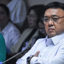 Harry Roque is now on immigration lookout