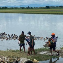 Governor blames Napocor dam in Bukidnon for Cotabato floods