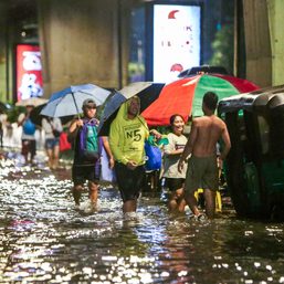 ​​What is leptospirosis and why you should be careful treading in flooded areas