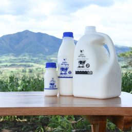 Metro Pacific expands dairy business with Bukidnon Milk Company