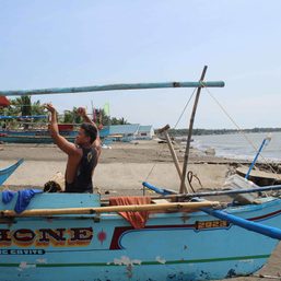 Fisherfolk income loss due to Bataan oil spill now at P78 million – DA