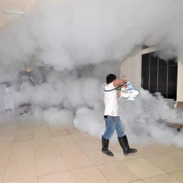 Dengue surge pushing Negros Occidental hospitals to overheating point