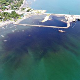 Molasses spill hits Sagay Marine Reserve in Negros Occidental