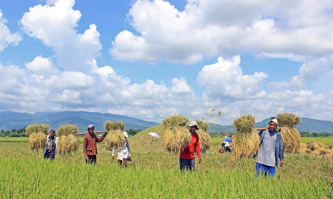 Farm output growth slows to 0.67% in Q1 2019