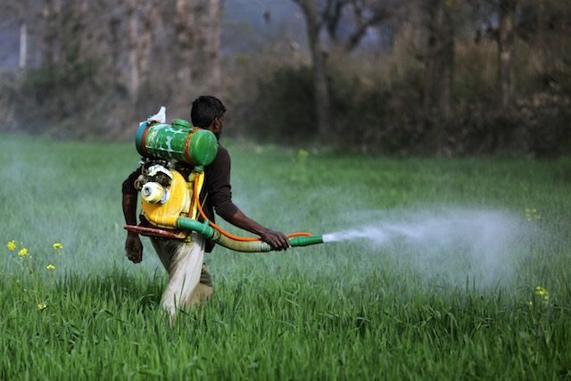 Pesticide pollution in water is rare, but can be severe – global study