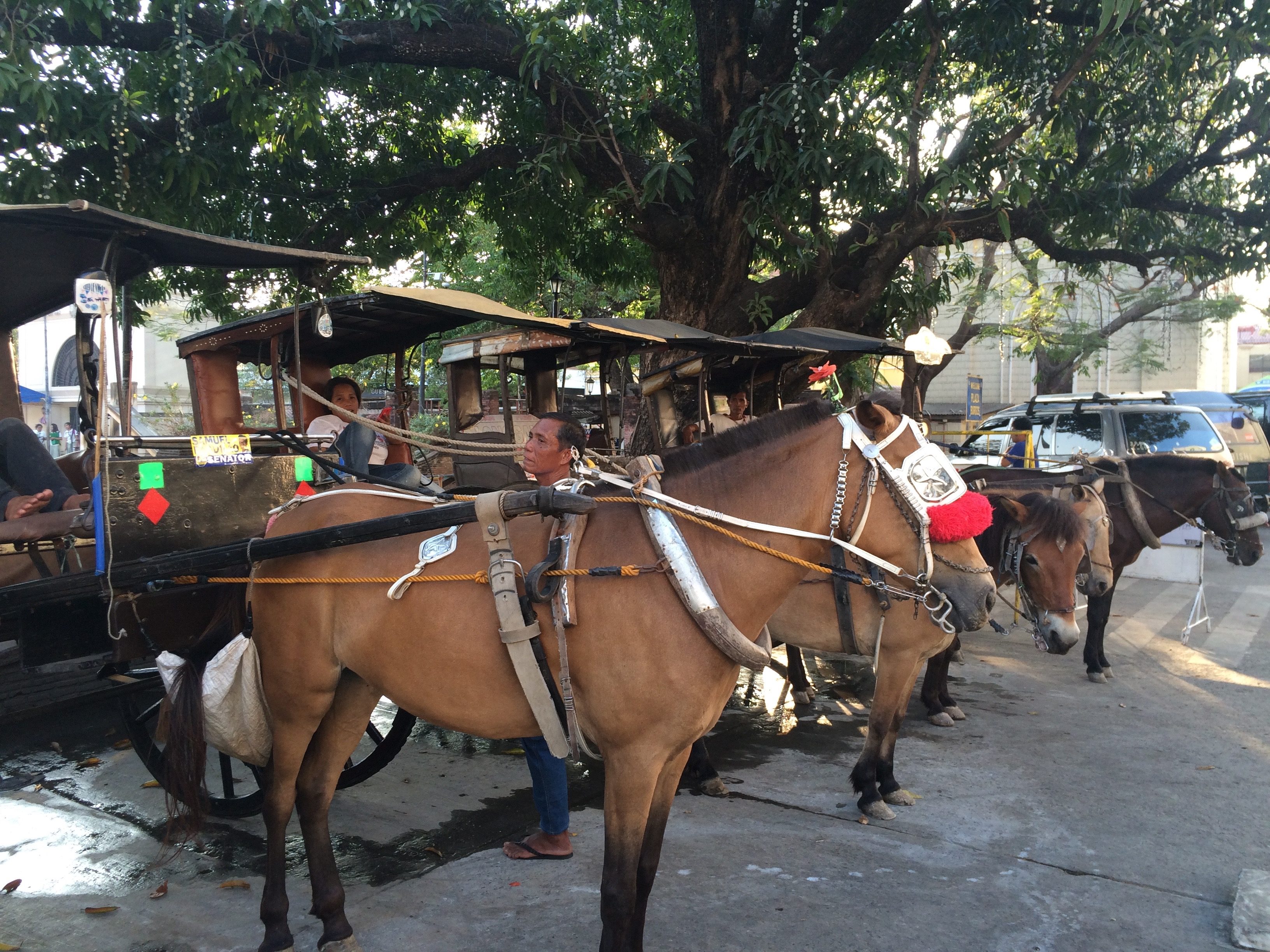 PARKING. Calesa drivers wait for passengers. Photo by Jee Y. Geronimo/Rappler   
