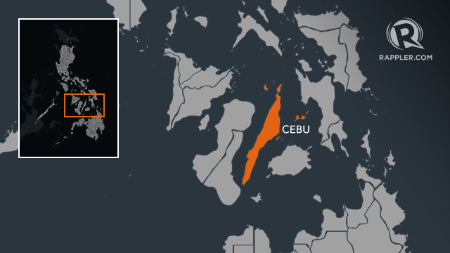 Cebu Pacific plane overshoots runway, other flights diverted