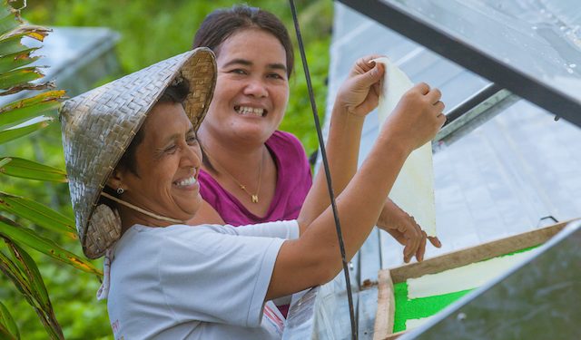 Farmers, fisherfolk: Portraits of resilience after Yolanda