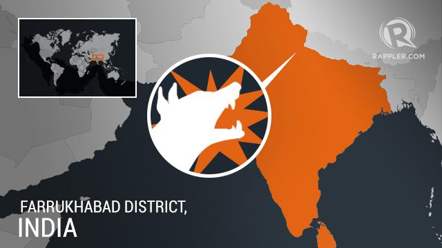 Newborn mauled to death by dogs at India hospital